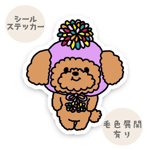 ポンポン帽子のポンポンプードルちゃん。87-