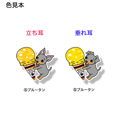 アイスクリームとミニピンちゃん。113-7