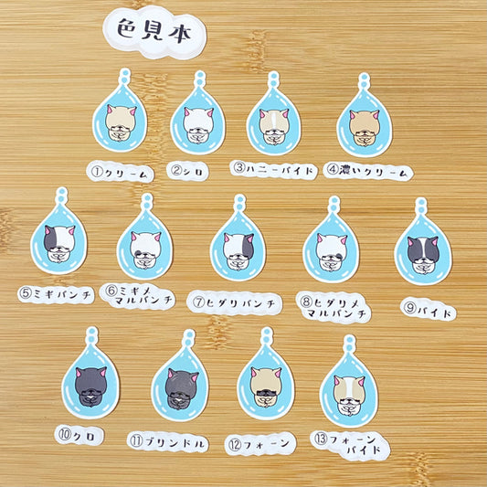 雫の中のフレブルちゃん。96−43