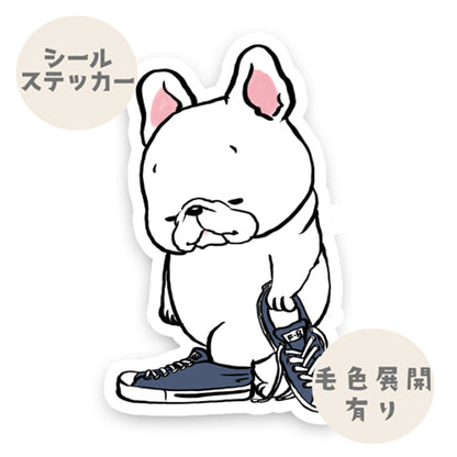 スニーカー履いてみるフレブルちゃん。96−523