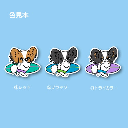 サーファーパピヨンちゃん。80-