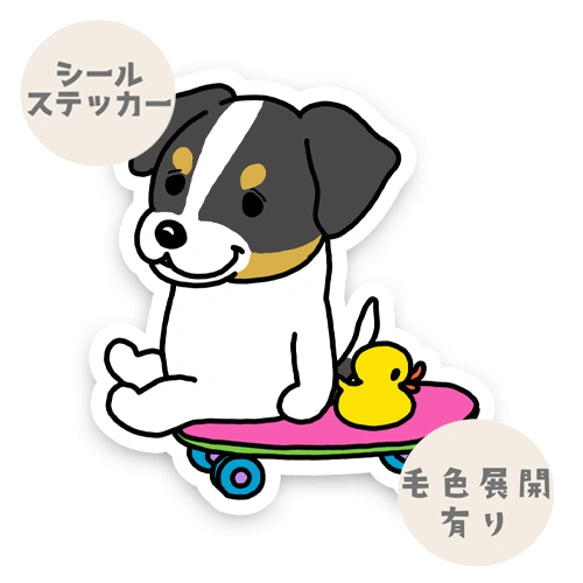 誰かと遊びたいジャックラッセルちゃん。42-9