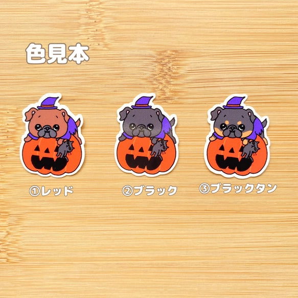 オバケカボチャとプチブラバンソンちゃん。86-
