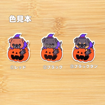 オバケカボチャとプチブラバンソンちゃん。86-
