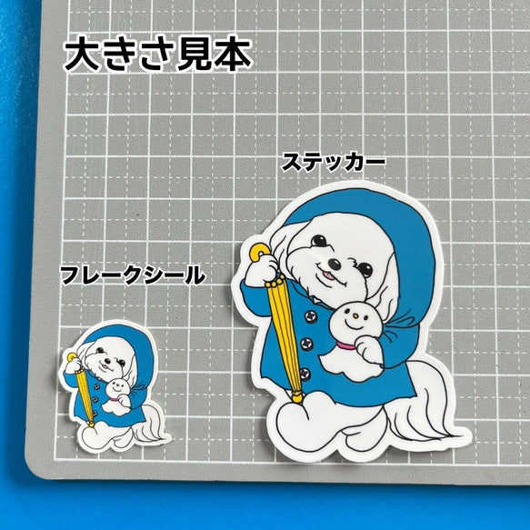 晴れてほしいマルチーズちゃん。109-
