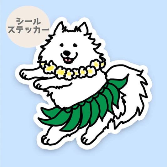 フラ日本スピッツちゃん。70-