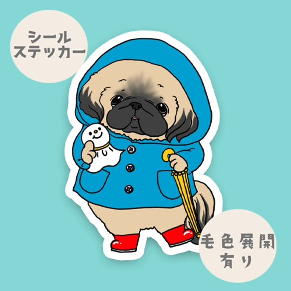 晴れてほしいペキニーズちゃん。97-