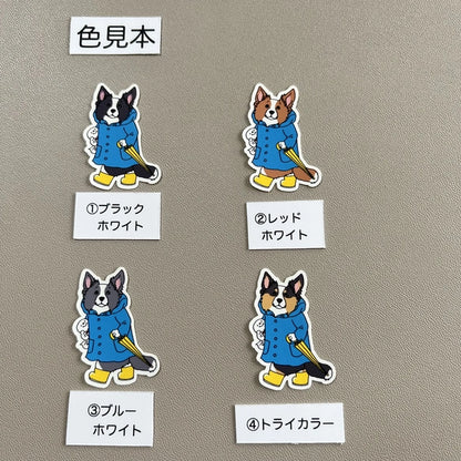 晴れてほしい立ち耳ボーダーコリーさん。106-