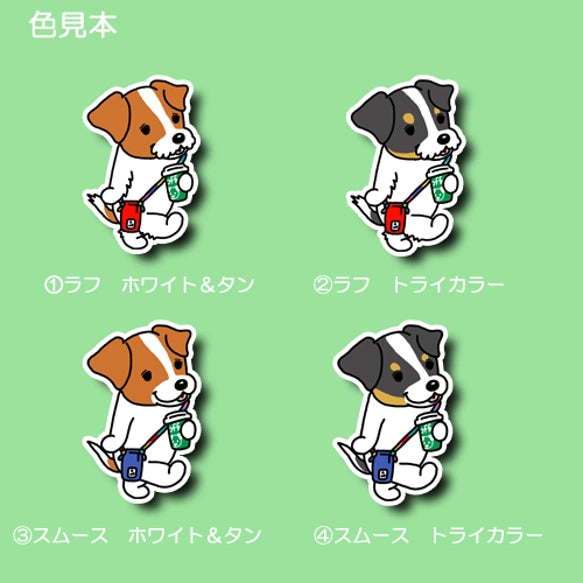 おでかけジャックラッセルちゃん。42-6