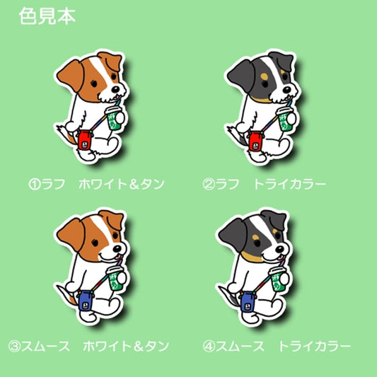 おでかけジャックラッセルちゃん。42-6