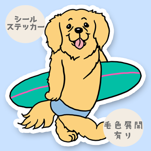サーファーゴールデンさん。32-26