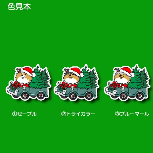 ツリーの配達中のシェルティちゃん。38-5