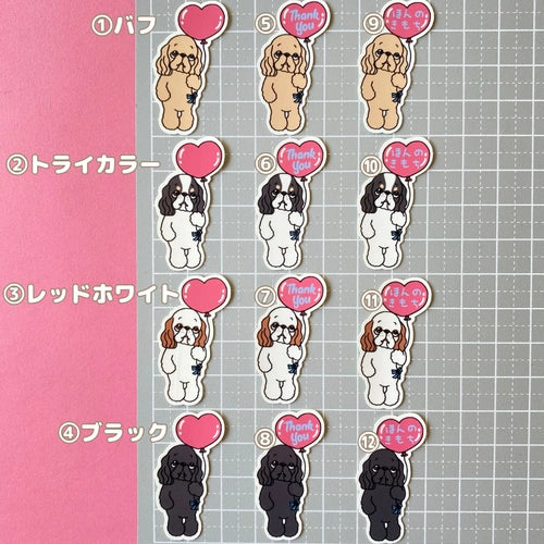 アメコカちゃんからのきもち。5-17