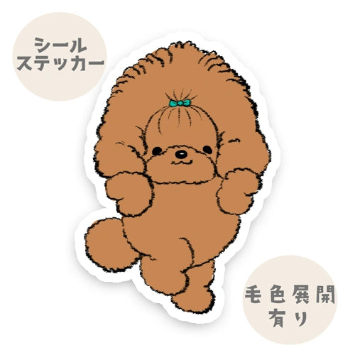 かわいいヘアスタイルのプードルちゃん。87-