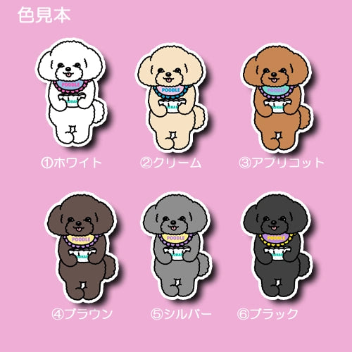 ごはんくださいな～って言ってるプードルちゃん。87-