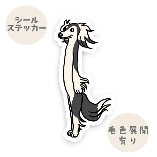 風に吹かれるサルーキさん。34-3