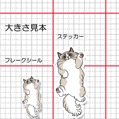 ヘソ天ラグドールちゃん。148-2