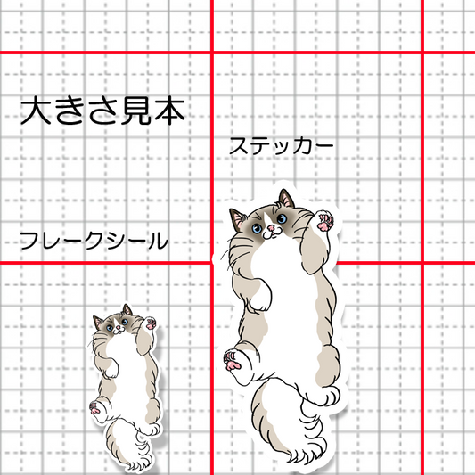ヘソ天ラグドールちゃん。148-2