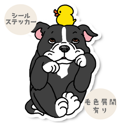 タイクツなスタッフィーさん。47-7