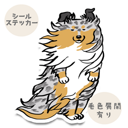 風に吹かれてるシェルティちゃん。38-10