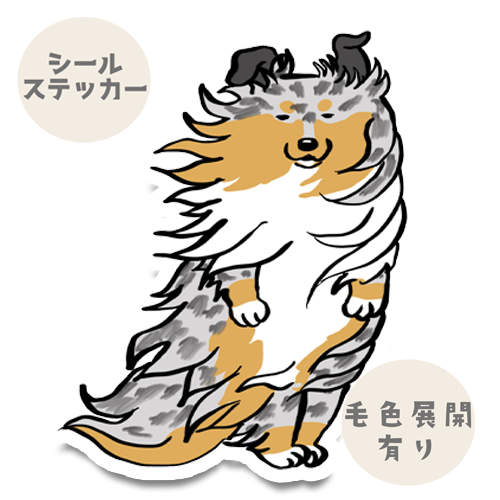 風に吹かれてるシェルティちゃん。38-10