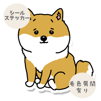 おすわりポメシバちゃん。222-2