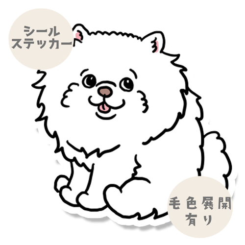 おすわりしてるポメチワちゃん。102-2
