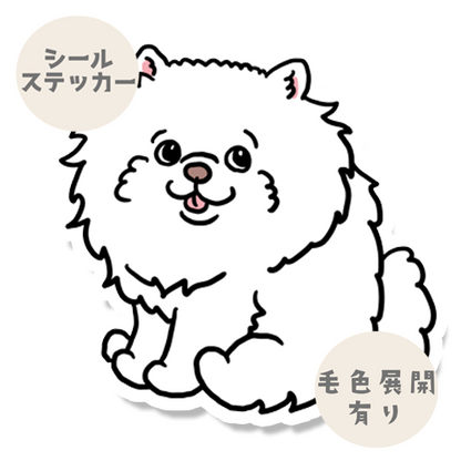 おすわりしてるポメチワちゃん。102-2