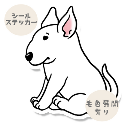 おすわりしてるブルテリアさん。94-8