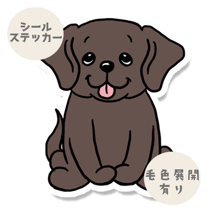 おすわりしてるラブラドールさん。117-26