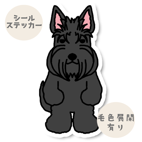たたずむスコッティちゃん。46-2
