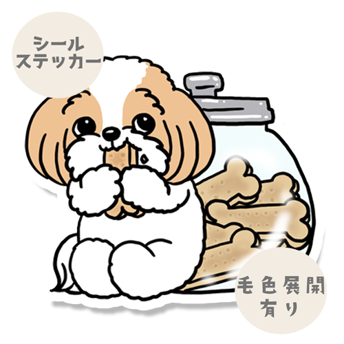 おやつ食べてるマルシーズーちゃん。108-2
