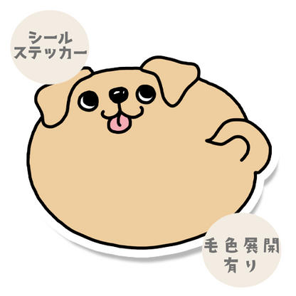 まん丸ラブラドールちゃん。117-12
