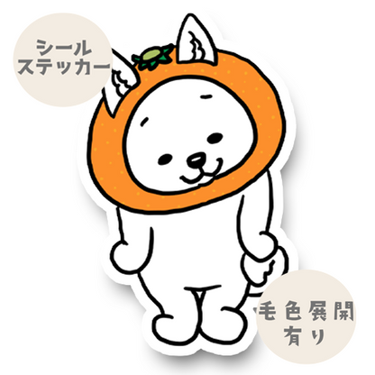 みかんの国の紀州犬さん。25-9
