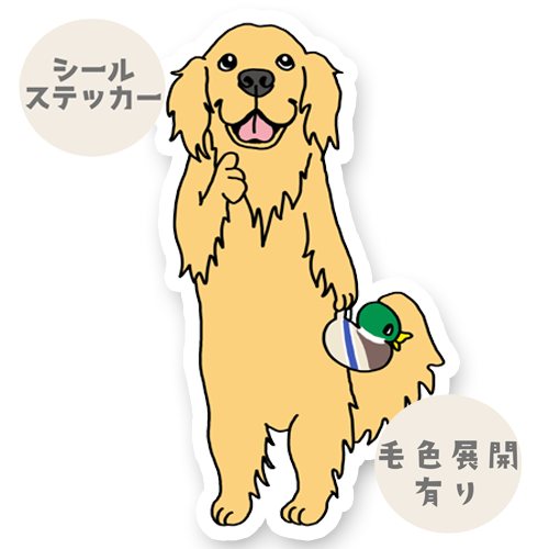 お気に入りのカモを見つけたゴールデンちゃん。32-11