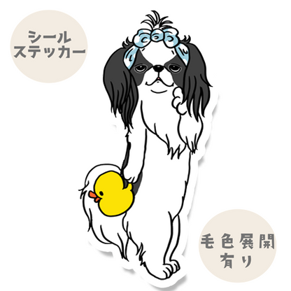 お風呂上がりの狆ちゃん。66-13