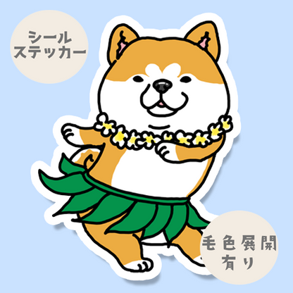 フラシバちゃん。39-27