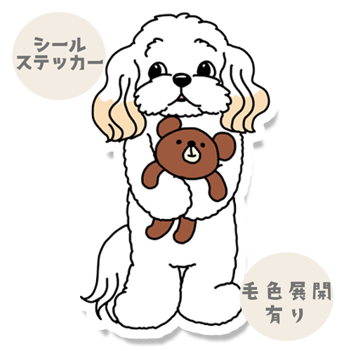 お留守番してるマルプーちゃん。111-6
