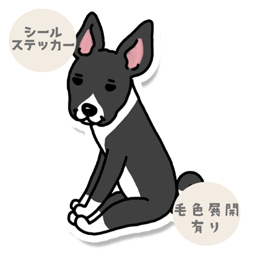 おすわりしてるバセンジーちゃん。78-4