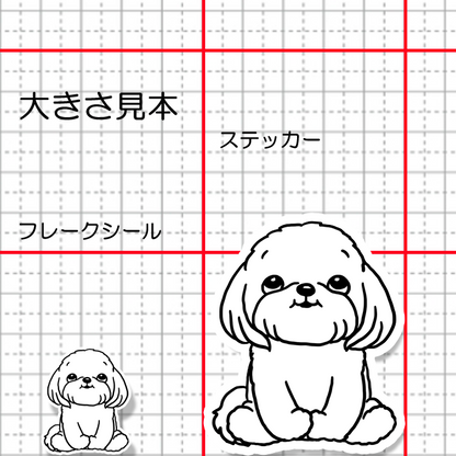 おすわりしてるマルチーズ。109-23