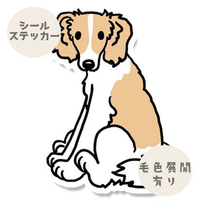 おすわりしてるボルゾイさん。105-7