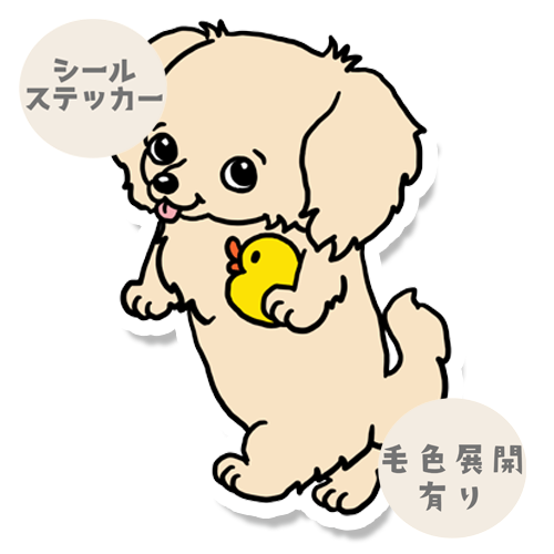 お気に入りのアヒルさんとチワックスちゃん。60-2