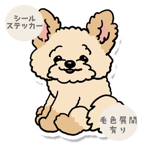 こっちを見ているポメプーちゃん。103-13