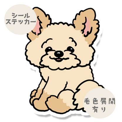 こっちを見ているポメプーちゃん。103-13