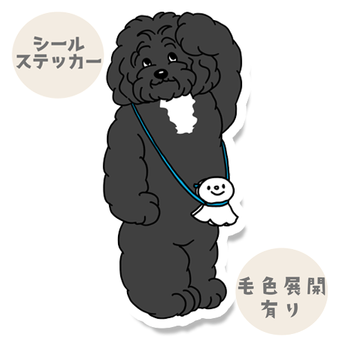 お天気どうかな？って思ってるポーチュギーズウォータードッグさん。129-2