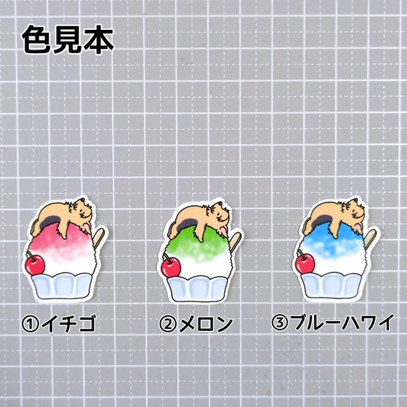 かき氷で冷えてるヨーキーちゃん。114-3