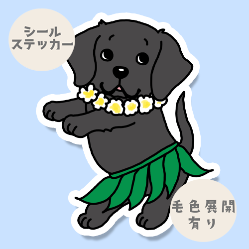 フララブラドールちゃん。117-14