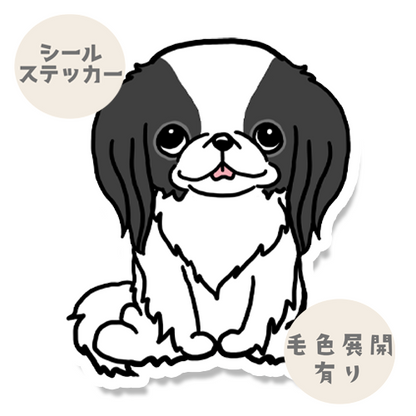 おすわりしてる狆ちゃん。66-7