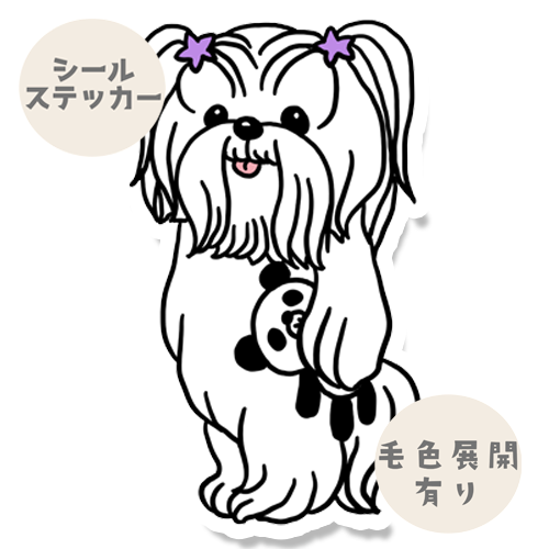 こっちを見ているラサアプソちゃん。115-4