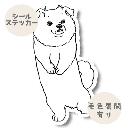 遊べるかなーって思ってるペキシバちゃん。186-2